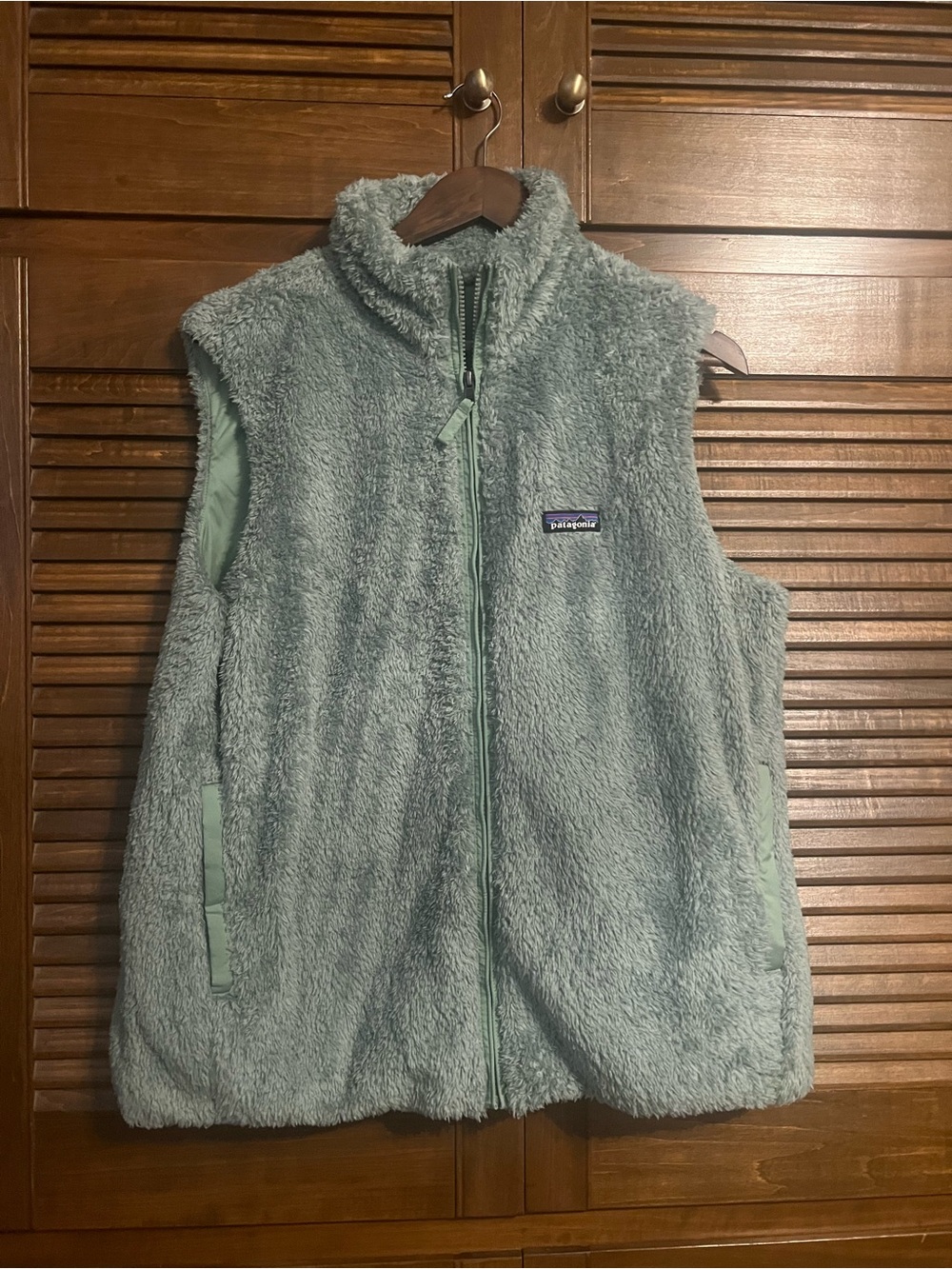 Patagonia Plush Fleece Vest in Sage Green